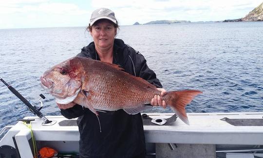 Aproveite a pesca em Tutukaka, Northland na Cuddy Cabin