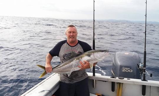 Aproveite a pesca em Tutukaka, Northland na Cuddy Cabin