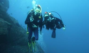 Enjoy Diving Trips in Velas, Portugal