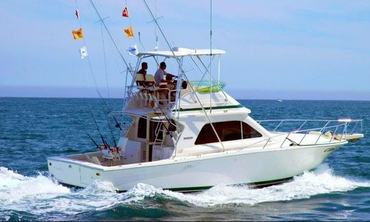 Alquiler del yate Bertram Sport Fishing «Bucaner» en Can Picafort, España