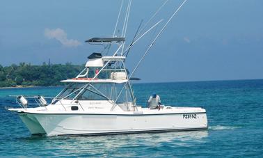 Game Fishing in Vanuatu with our 34ft Blackwatch Fishing Boat