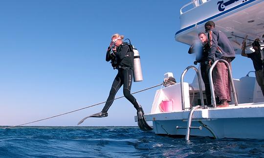 Disfruta del buceo en Marsa Alam, Egipto