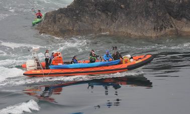 Enjoy Wildlife Boat Trips in St Davids, Pembrokeshire, Wales