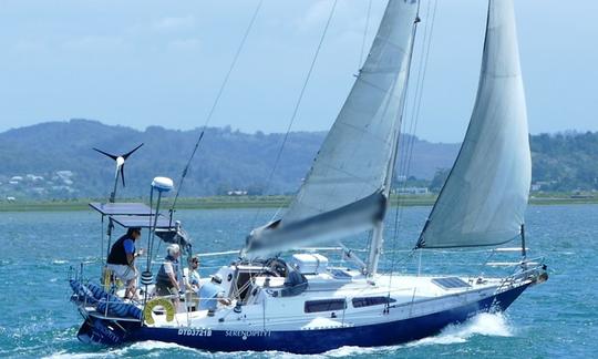 Cours de skipper d'une journée à Knysna