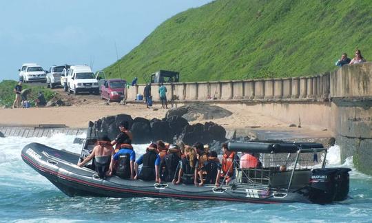 Ven a hacer tu curso de buceo PADI en Aliwal Shoal, Umkomaas, Sudáfrica