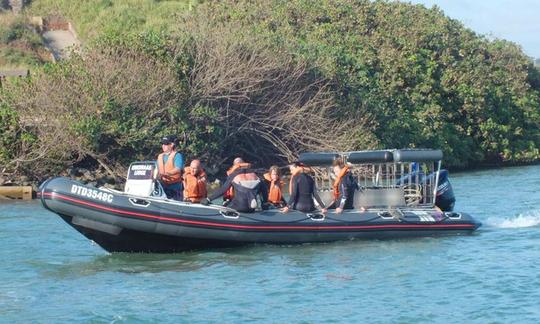 Ven a hacer tu curso de buceo PADI en Aliwal Shoal, Umkomaas, Sudáfrica