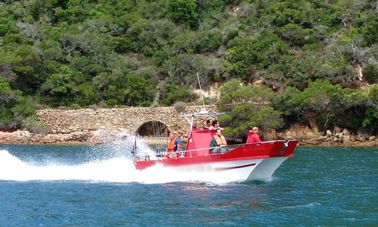 Charters de pêche en haute mer à Knysna