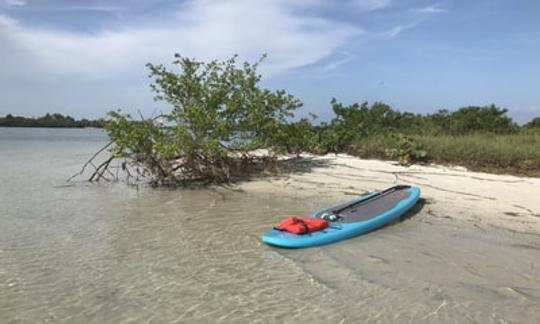 Stand Up Paddleboard Rental and Tour in Treasure Island, Florida