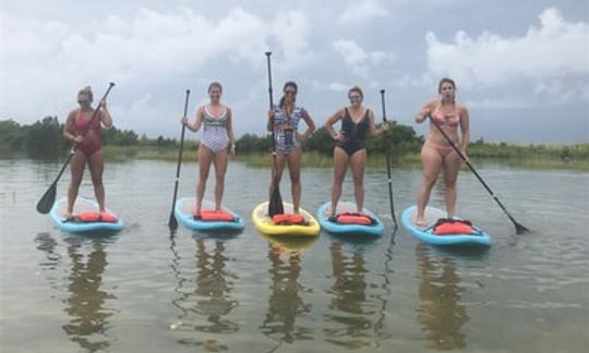 Stand Up Paddleboard Rental and Tour in Treasure Island, Florida