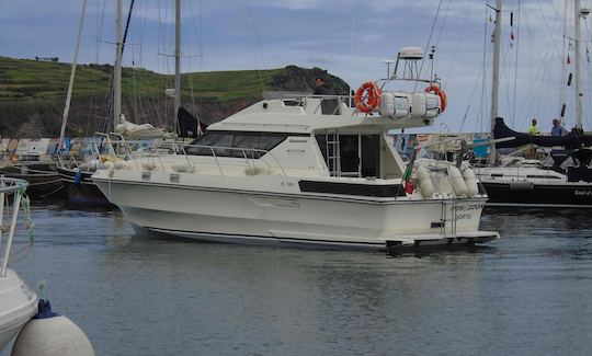 Brichwood 37 Supersports Motor Yacht for rent in Horta, Portugal