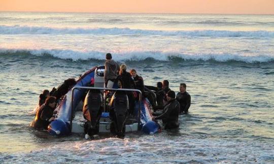 Alquiler de buceo a Aliwal Shoal