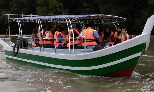 Cruzeiros fluviais em Taiping Perak, Malásia