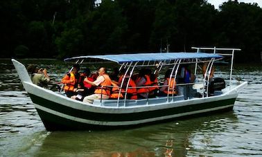 River Cruises in Taiping Perak, Malaysia