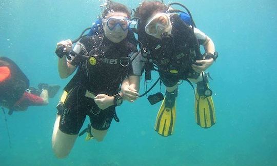 Enjoy Diving Courses in Thanh pho Thai Nguyen, Vietnam