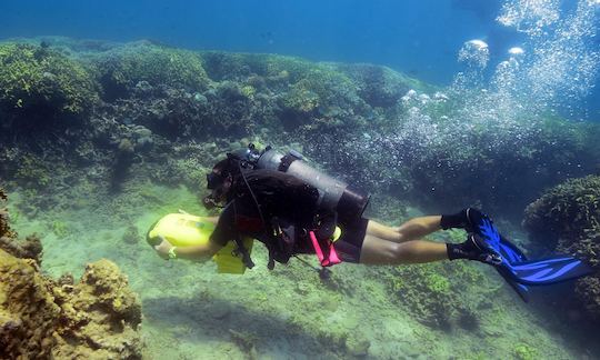 Enjoy Diving Courses in Thanh pho Thai Nguyen, Vietnam