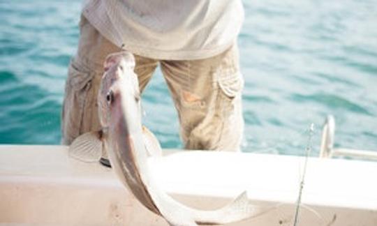 Aproveite a pesca em Tay Ninh, Vietnã, na Cuddy Cabin