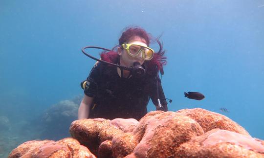 Faites de la plongée à Phu Quoc, Vietnam