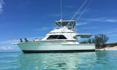 Plongée avec tuba et. Turtle Adventure sur un yacht à moteur Bertram de 43 pieds à Nassau, aux Bahamas