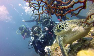 Plongée sous-marine sur l'île des Philippines