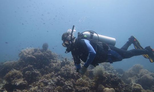 Diving Courses in Panglao, Philippines