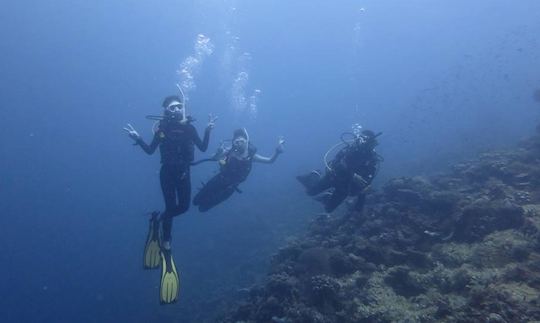 Diving Courses in Panglao, Philippines