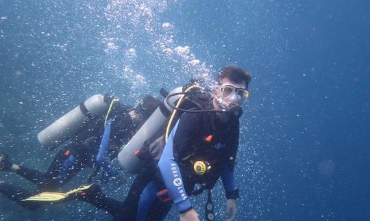 Diving Courses in Panglao, Philippines