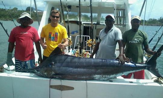 Excursion de pêche quotidienne à Grande Rivière Noire, île Maurice, avec Sport Fisherman