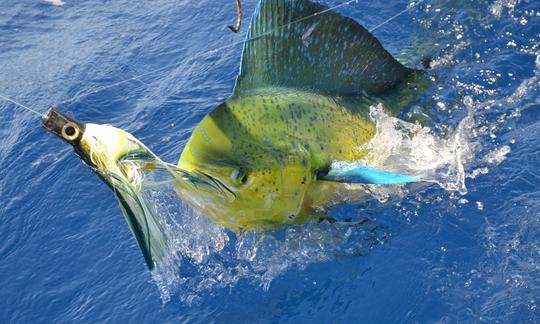 Excursion de pêche quotidienne à Grande Rivière Noire, île Maurice, avec Sport Fisherman