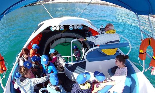 Excursion en bateau à fond de verre à Angra do Heroísmo, Portugal