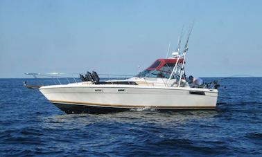 32' Sport Fish Luxury Yacht in Ucluelet