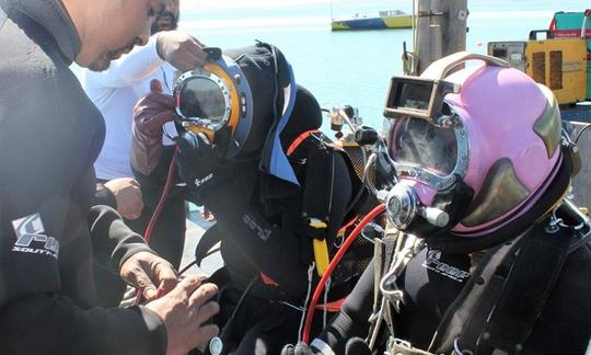 Profitez de la plongée à Saldanha, au Cap occidental