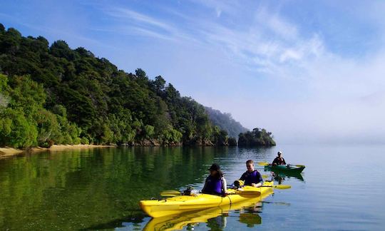 Guided Kayak Tour In Linkwater