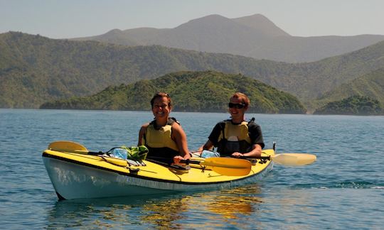 Guided Kayak Tour In Linkwater