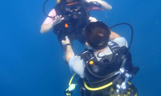 Enjoy Diving in Porto Novo, Cape Verde