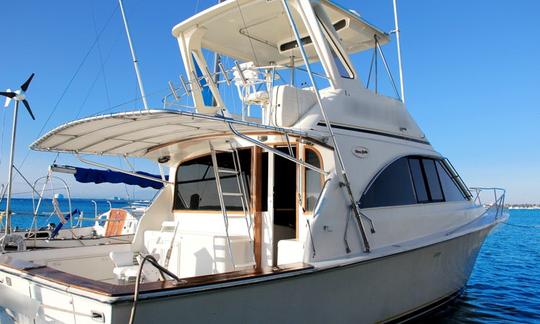 Punta Cana Fishing Yacht Charter On 42ft "Fortuna" Ocean Super Sport Yacht