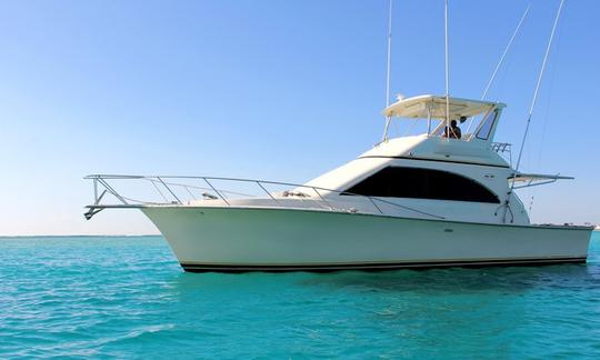 Punta Cana Fishing Yacht Charter On 42ft "Fortuna" Ocean Super Sport Yacht