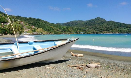 Tours de vida silvestre en Buccoo, Tobago