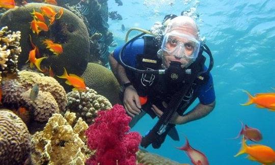 Viagens e cursos de mergulho divertidos na Província do Mar Vermelho, Egito