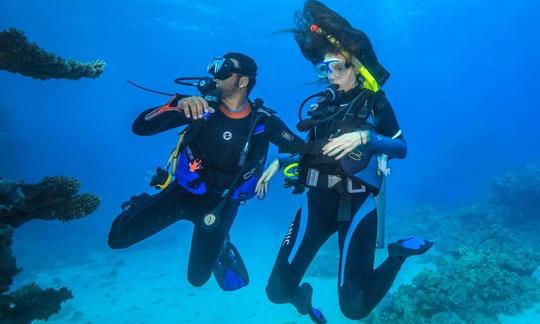 Viagens e cursos de mergulho divertidos na Província do Mar Vermelho, Egito