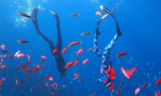 Enjoy Diving Courses in Pemangan, Indonesia