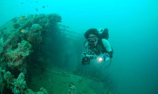 Experimente viajes y cursos de buceo en Panglao, Filipinas