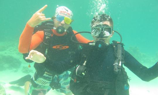 Experimente viajes y cursos de buceo en Panglao, Filipinas