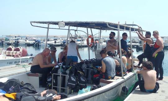 Disfruta de los cursos de buceo en Dibba Al Fujairah, Emiratos Árabes Unidos