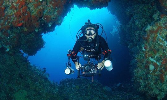 Enjoy Diving Trips in Nusa Tenggara Timur, Indonesia