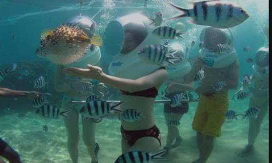 Experimente la caminata por el mar en Denpasar Selatan, Bali