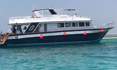 Excursions de plongée en bateau dans le gouvernorat de la mer Rouge, Égypte