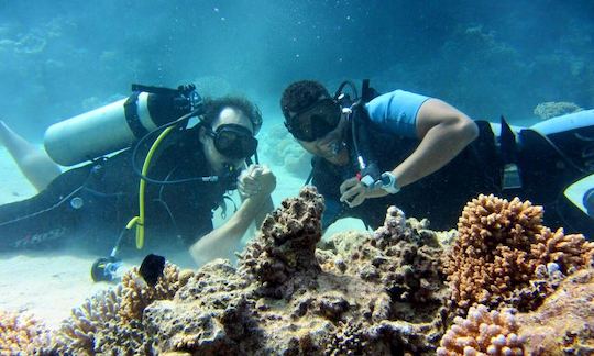 Boat Diving Trips with the best Diving Instructors in South Sinai Governorate, Egypt