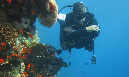 Boat Diving Trips with the best Diving Instructors in South Sinai Governorate, Egypt