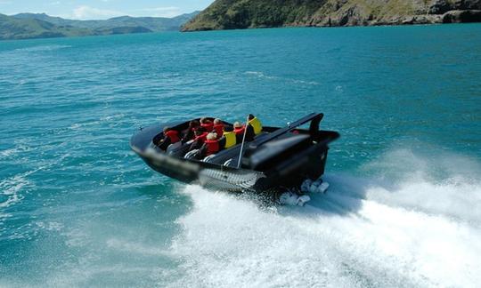 Passeio de barco a jato pelo porto de Akaroa