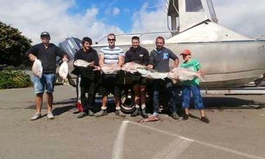 Viagens de pesca e mergulho a bordo do barco “Felix” em Porirua, NZ